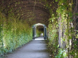 Labirynt labiryntowi nierówny. Fot. Schoenbrunn.at
